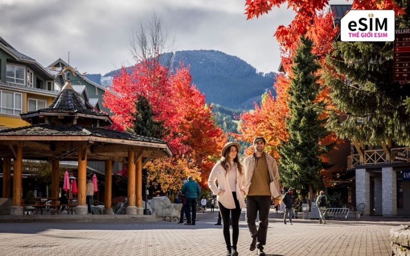 Kết nối xuyên suốt từ đại lộ New York đến kỳ quan Machu Picchu cùng eSIM data.